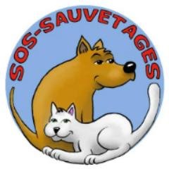 SOS-SAUVETAGES
 Assocation de fait vec plus de 20 000 amis  
page et groupes réunis pour partager toute les urgences euthanasie et adoptions