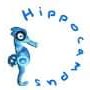 Asociación Hippocampus(@AsocHippocampus) 's Twitter Profile Photo