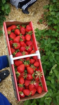 AhmetKocyigit14's profile picture. 