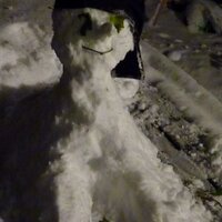 Ingrid de Coo (@zijdaar) 's Twitter Profile