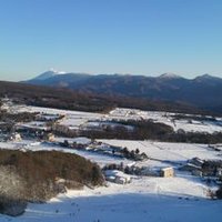 カリお (@kotabingo88) 's Twitter Profile