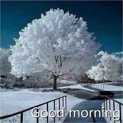Advocate, Civil Court, Chhapra