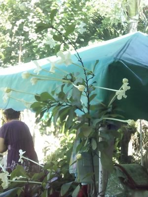 rachebarrs's profile picture. a mother of five ,daugther, a fairytale fanatic, young @ heart...