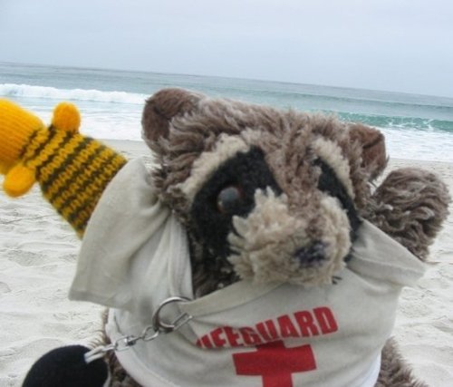 freddysetgo's profile picture. 