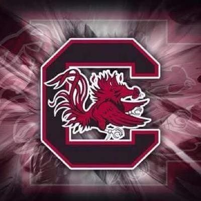 Toutes les news sur les South Carolina Gamecocks, plus spécialement le football américain.