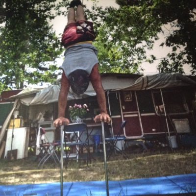 WolfRenaissance's profile picture. Aloha ! I'm a french artist actually working for Zingaro's company with Bartabas. Working for own projects on Chinese pole with my birds. Living in Paris.