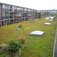 Groenkreatief Markvoort uit holten, gespecialieerd in hydroseeding, daktuinen groendaken, gras en vegetatidaken en alle tuinwerkzaamheden vijvers bestrating