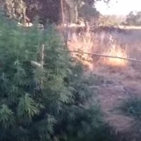 00D0400 (@00d0400) 's Twitter Profile