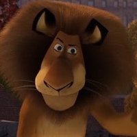 Alex, The Lion. (@toomuchshampoo) 's Twitter Profile