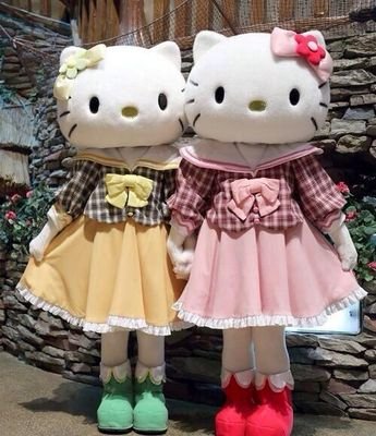 ゆうちょ振込対応しております。敏速な対応心がけております！普通郵便での発送事故は責任はおいませんのでご了承ください。