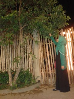 ipyt_kaelani's profile picture. 