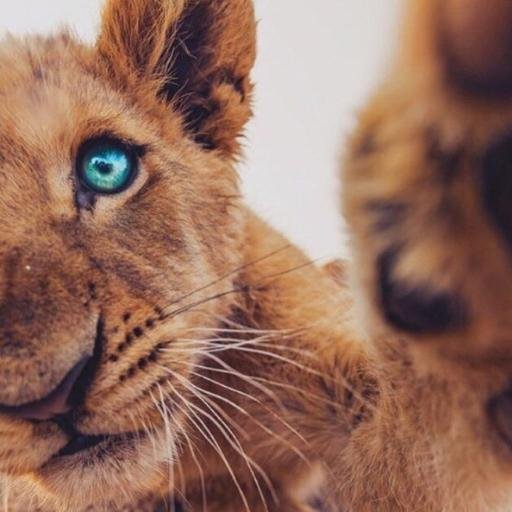 MalinaB0y's profile picture. 