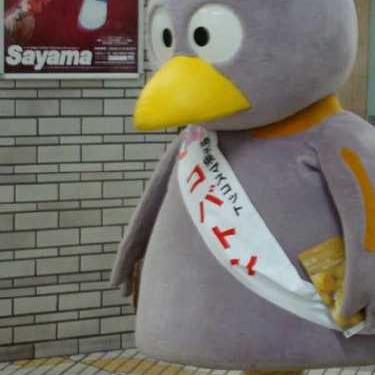 kunitachi26's profile picture. 一橋経済/大宮理数19期/CTC38期/巨人ファン/CPA