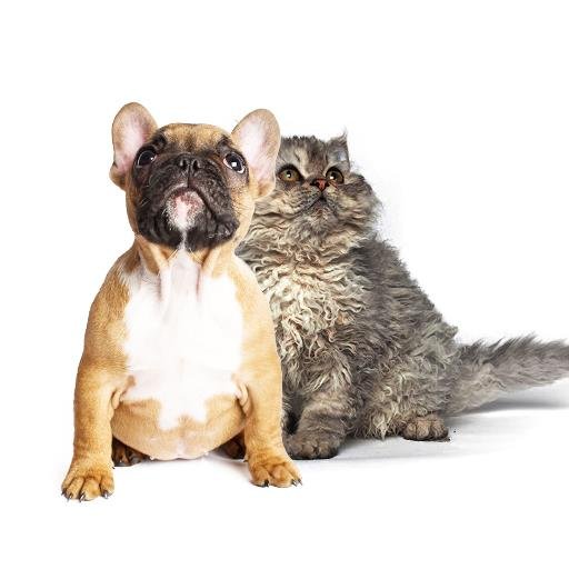 Waterloo Region's premier Pet Hotel for small breed dogs under 30 pounds and cats.  Professional grooming for all with cat specific equipment and treatments.