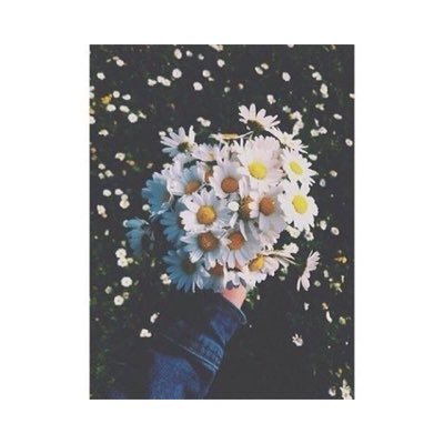 101200Diana's profile picture. Somos un globo de emociones en un mundo lleno de alfileres ❤️