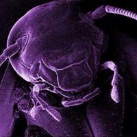 eDRoaCH (@edroach) 's Twitter Profile