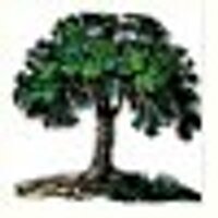 MWT (@kayar) 's Twitter Profile