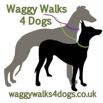 Offering Smaller Breed Dog Walking, Dog Day Care, Home Boarding and Pet Sitting in Farnborough, Fleet and the surrounding areas.