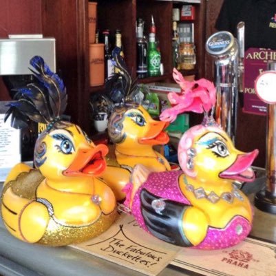 DeedeeLuscious's profile picture. DeeDee Luscious & #TheCheekyDucks are #TheFabulousDuckettes #GNDR15 @NorwichDuckRace 4 #BreakCharity Sponsor: @AspirationEurop Artist: Sally Adams @hammamelis