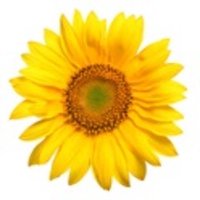 Kristin Potamis (@kpotamis) 's Twitter Profile Photo Kristin Potamis (@kpotamis) 's Twitter Profile Photo