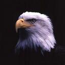 Daniel Violette - @fogman57 - Twitter