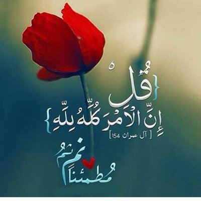 لاشئ قد اتمناه سوى الجنه