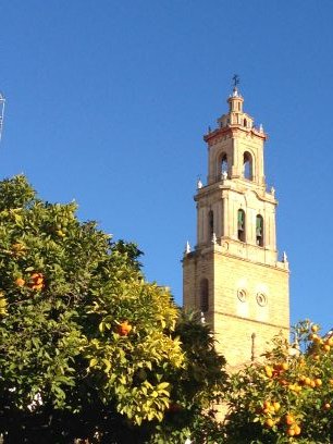 Vivo y siento en Utrera, padre de dos niñas. Servidor público. Interactúo sobre derecho, tecnología y en verdiblanco.