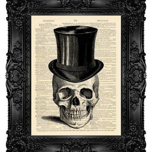 VinylBeast's profile picture. Vintage & Vinyl Shop Owner