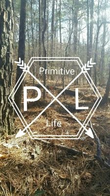 I have been a woodsman all my life. I have lived primitively and done many survival scenario camp outs. I want to start my own survival /primitive living school