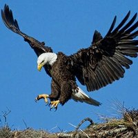 t2c (@t2c3517) 's Twitter Profile