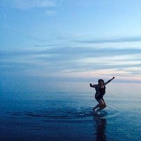 Aunt Fanny (@dinostef) 's Twitter Profile