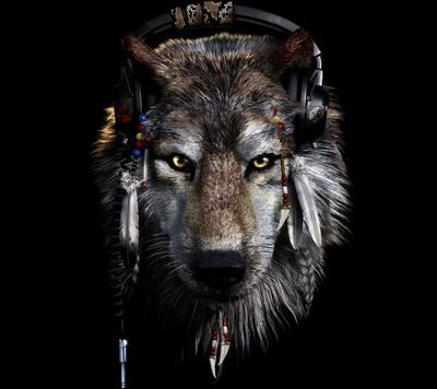 Like a dog, possess the will to love, to run with the pack. But like the wolf have the courage to stand alone. People don't like me but that's ok I love people.