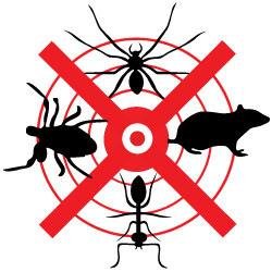 We are the experts in pest control, have raised for effective control ever since we were founded in 1998 in Australia.