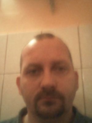 SelmeciGyorgy's profile picture. 