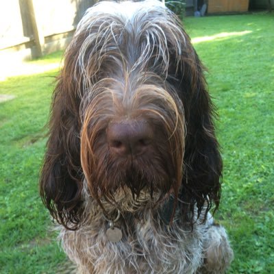 ansteycottage's profile picture. 