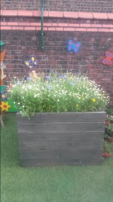 MissGarner74's profile picture. teaching assistant, dog owner, Everton supporter, bird watcher, nature lover,  hopefully passing on my love of the natural world to future generations.