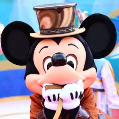 ディズニーストームライダー（超希少） TDR オリエンタルランド