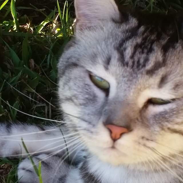 AussieFanGirl1's profile picture. 