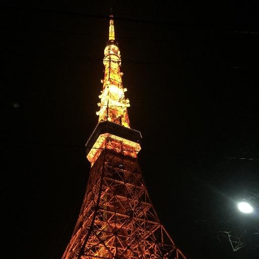 毎日今日の東京タワーの写真をアップします。