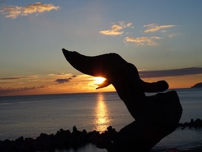 ウェザーニュースでサポーターをしています。出身地は岩手県北。好きな空は雲一つない青空、好きな雲はひつじ雲、好きな季節は夏です。よろしくお願いします(^_^)星検2級/エコピープル/防災士/こどもサポーター/ねこ検定初級/天文宇宙検定3級/メンタル心理カウンセラー/上級心理カウンセラー