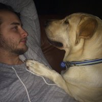 Dane Schmidt (@danebschmidt) 's Twitter Profile