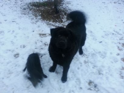 wClHmUDmtigjgVQ's profile picture. 크큭