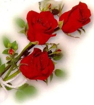 mema6666m's profile picture. 