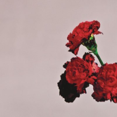 xxjustaguyxx's profile picture. #ifb