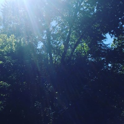 Carv3dLifeStyle's profile picture. To Life. Food is good. Food is life and love. There should be no barrier between existence and living. Power to all the people.✊🏾 Change is the only constant.