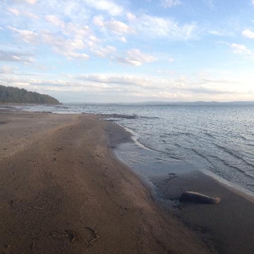 MacKenz01377517's profile picture. 