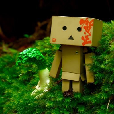 水草人 モスの活着はミスト式 プレモスはミストの方が成長早くてオススメ 水草人 モスの活着はミスト式 プレモスはミストの方が成長早くてオススメ