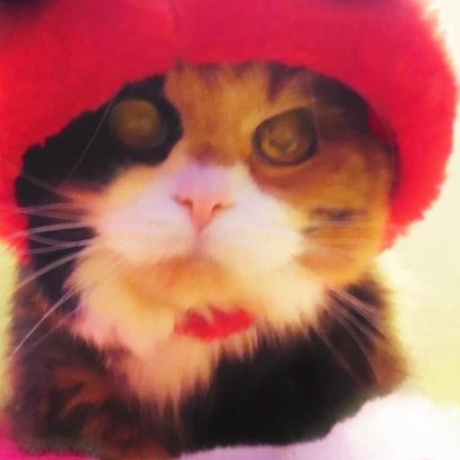 VirgoBaker's profile picture. Jersey girl who's allergic to stupidity, it makes me break out in sarcasm. Fluent in all things 80s. Animal lover. Johnson & Wales grad so I bake cakes & stuff