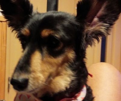 Js66666's profile picture. 