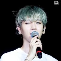 FoxBaek폭스백 (@foxbaek0506) Twitter profile photo